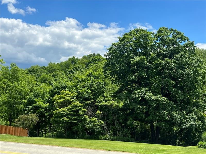 Lot Mars Hill Rd — photo 1