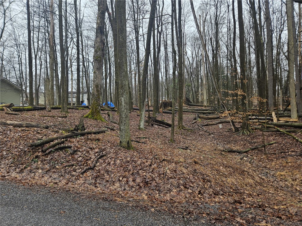 Lot 27 Sec 11 Treasure Lake — photo 1