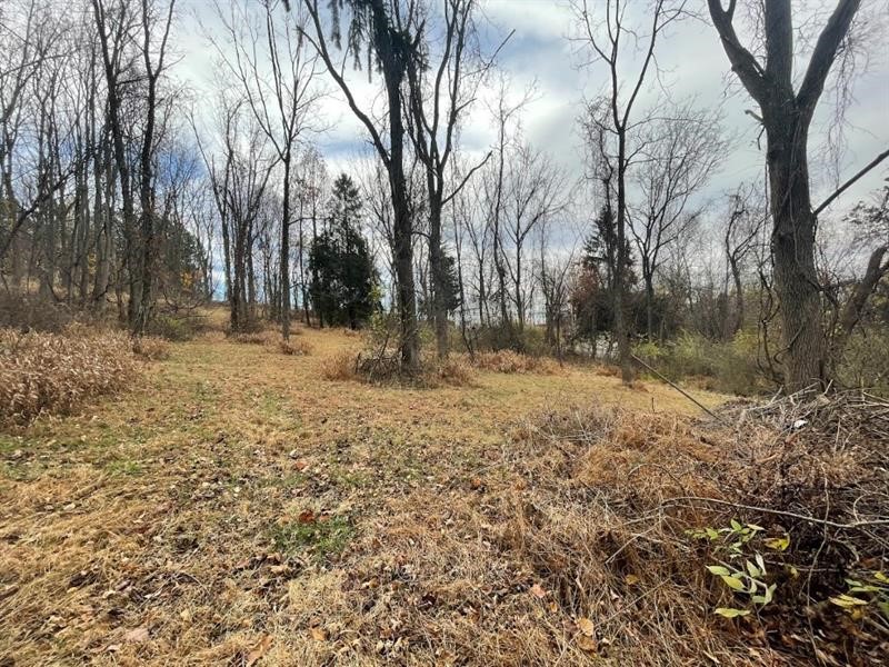 000 Hilton/Margurite Rd — photo 3