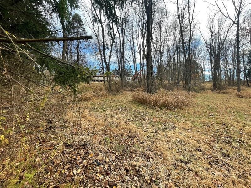 000 Hilton/Margurite Rd — photo 4