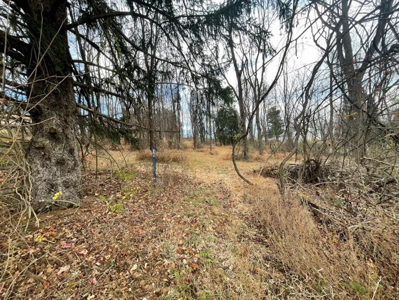 000 Hilton/Margurite Rd — photo 6