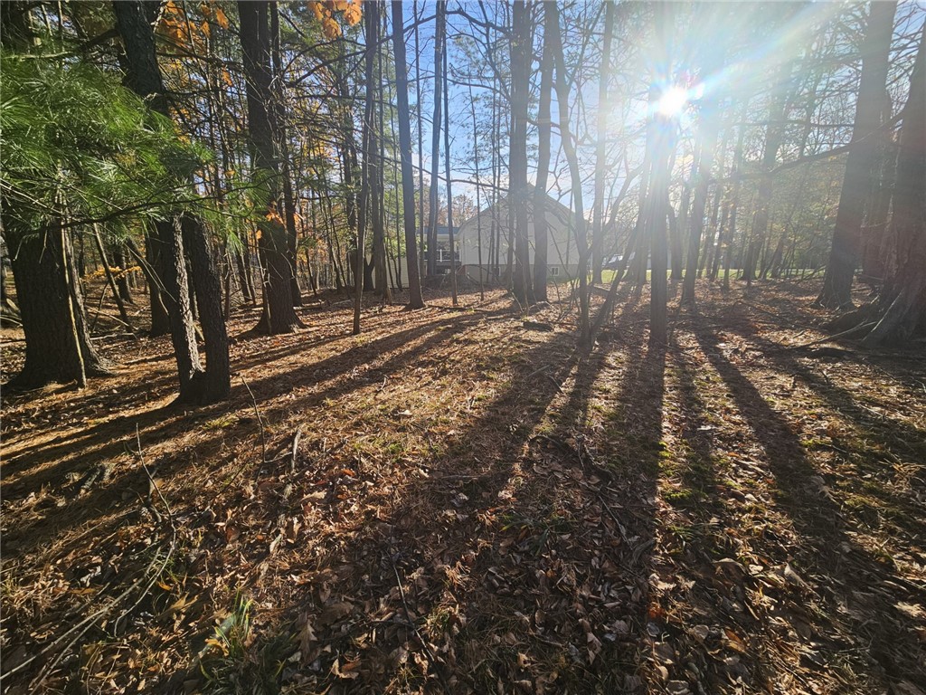 Lot 133 Section 1 Treasure Lake — photo 1