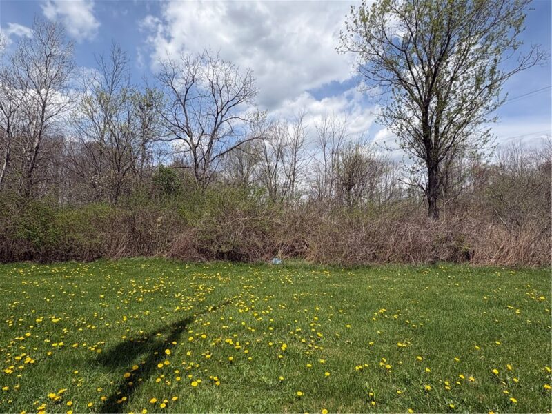 Lot#1 Boyers Rd — photo 3