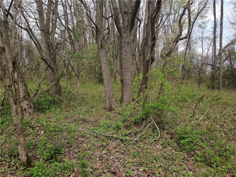 6079 William Penn Hwy — photo 7