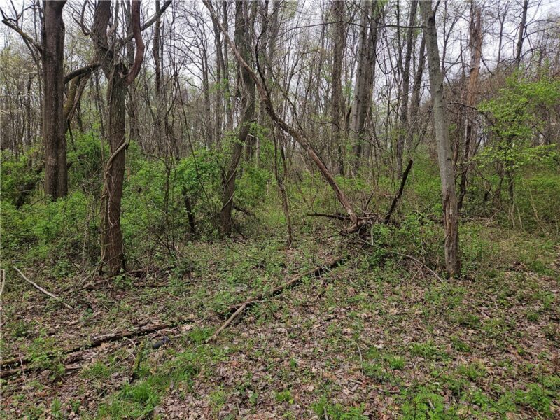 6079 William Penn Hwy — photo 8