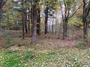 0 Country Club Road — photo 3