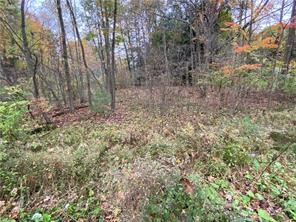 0 Country Club Road — photo 8