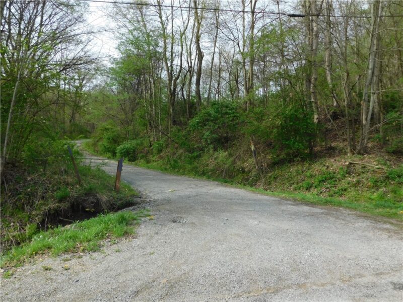 - Alberts Road — photo 5