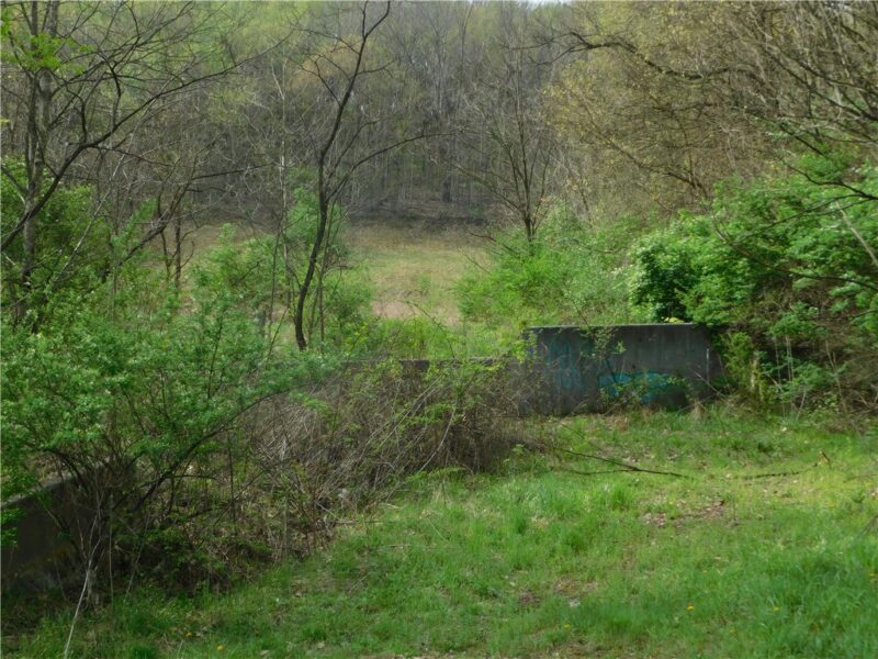 - Alberts Road — photo 6