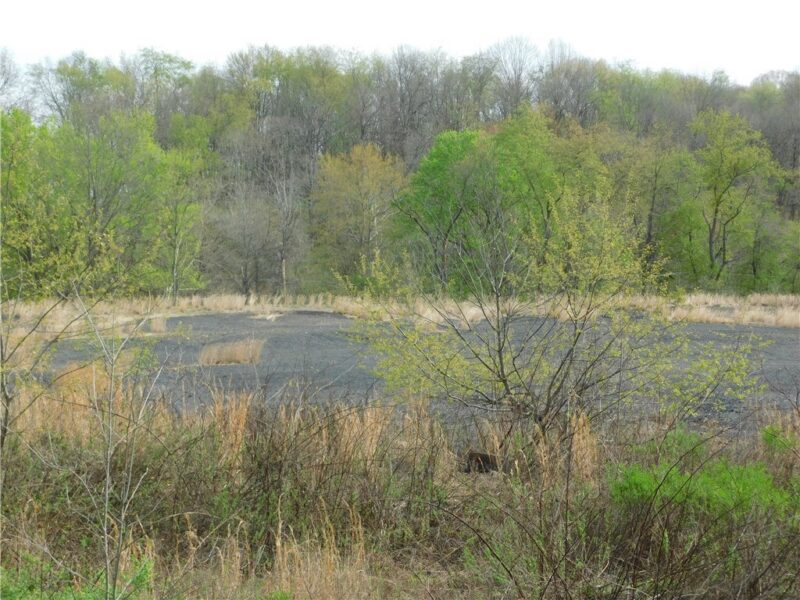 - Alberts Road — photo 7