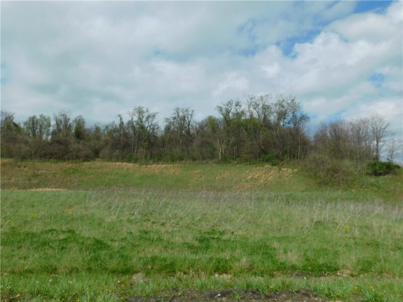 - Morrell Avenue — photo 4
