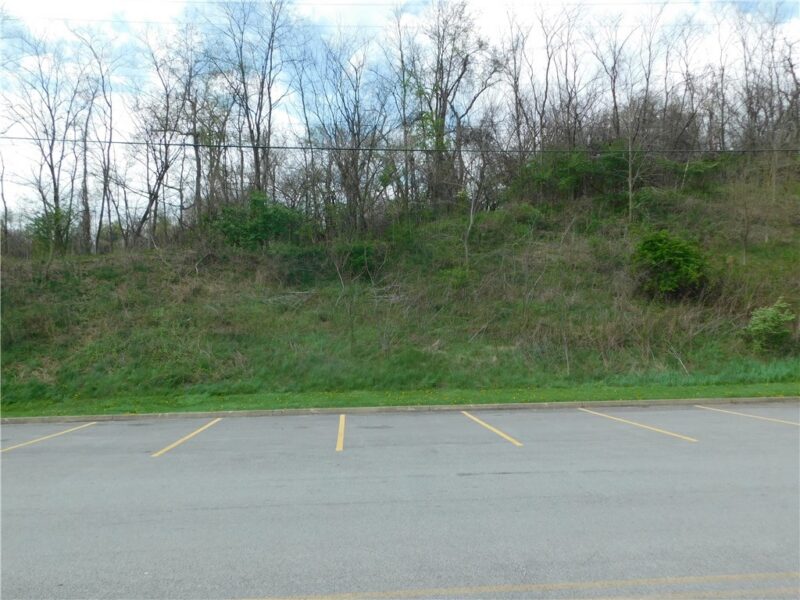- Morrell Avenue — photo 6