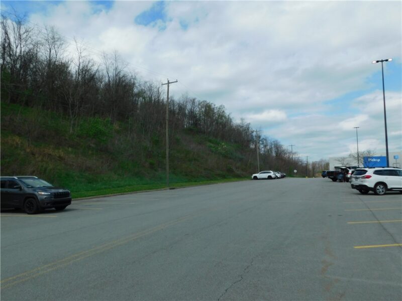 - Morrell Avenue — photo 7