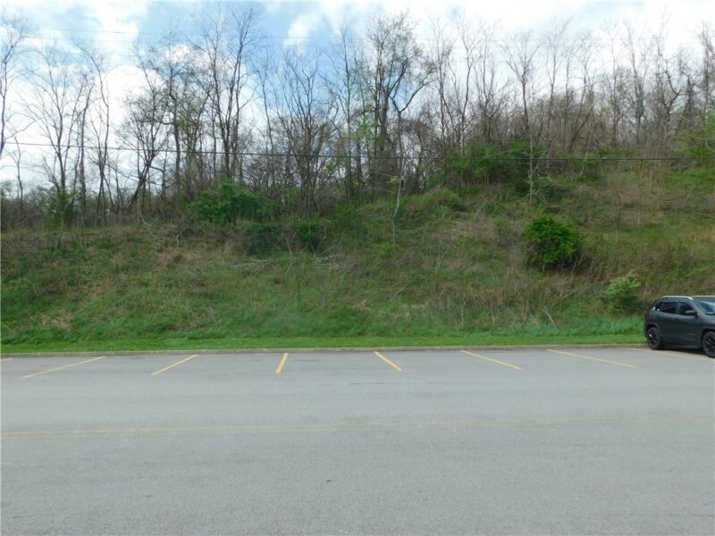 - Morrell Avenue — photo 8
