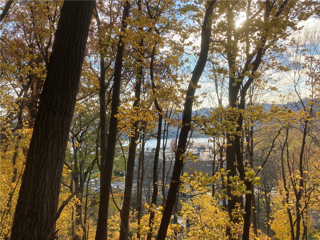 0 Beaver Rd — photo 1