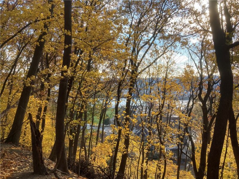 0 Beaver Rd — photo 2