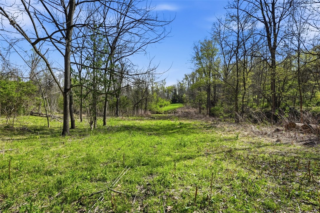 000 Hulton Rd — photo 1