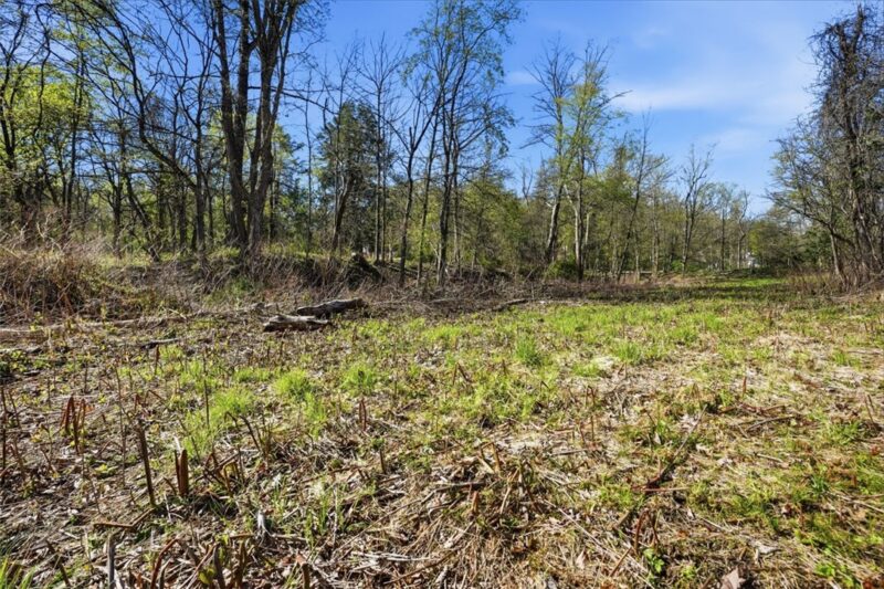 000 Hulton Rd — photo 3