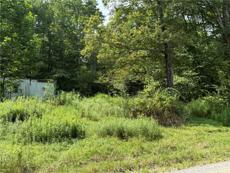 389 W Bellport Road — photo 3