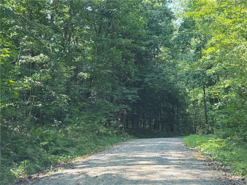 389 W Bellport Road — photo 5