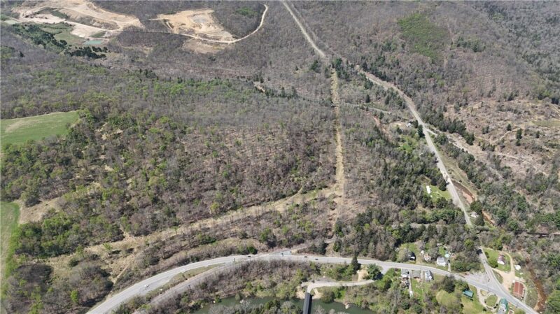 42 Acres± along Burnside McGee Highway — photo 4