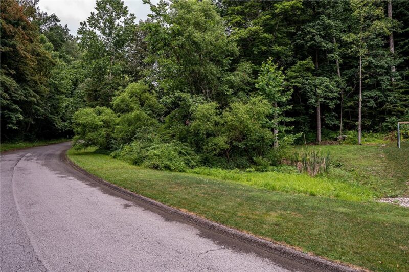 #19 LOT TIMBERLAND DR — photo 2