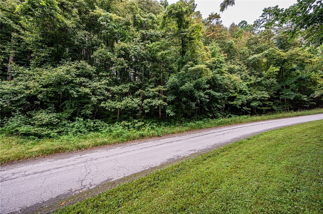 # 17 LOT TIMBERLAND DR — photo 1