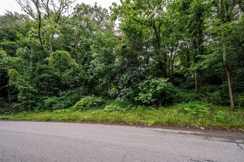 #16 LOT TIMBERLAND DR — photo 5