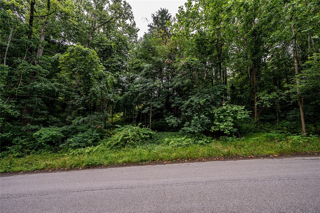 #15 LOT TIMBERLAND DR — photo 1