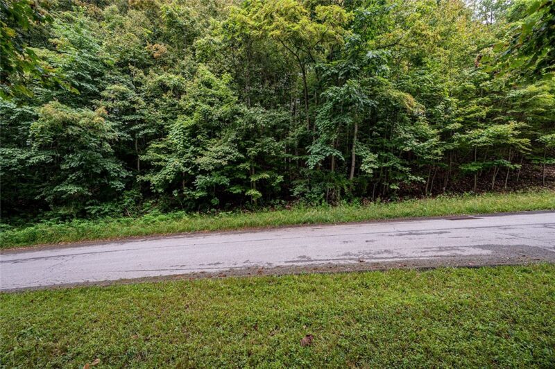 #15 LOT TIMBERLAND DR — photo 5