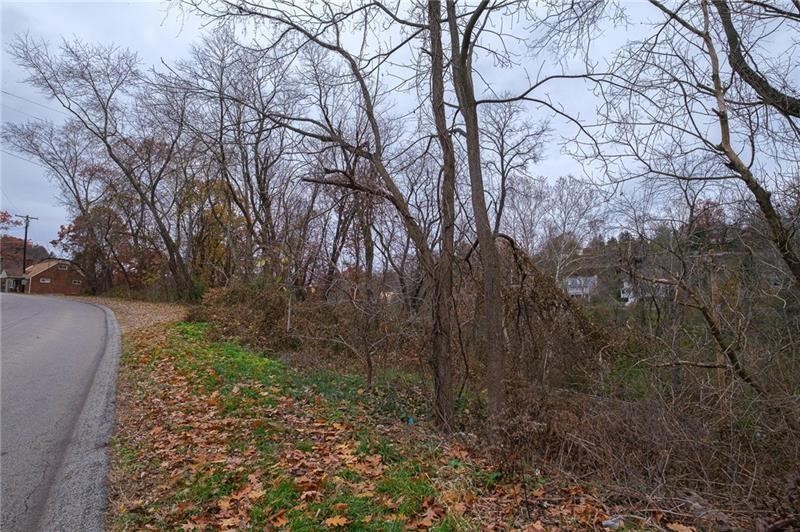 0 Springdale — photo 1