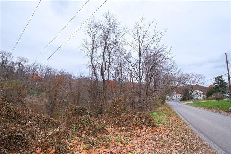 0 Springdale — photo 3