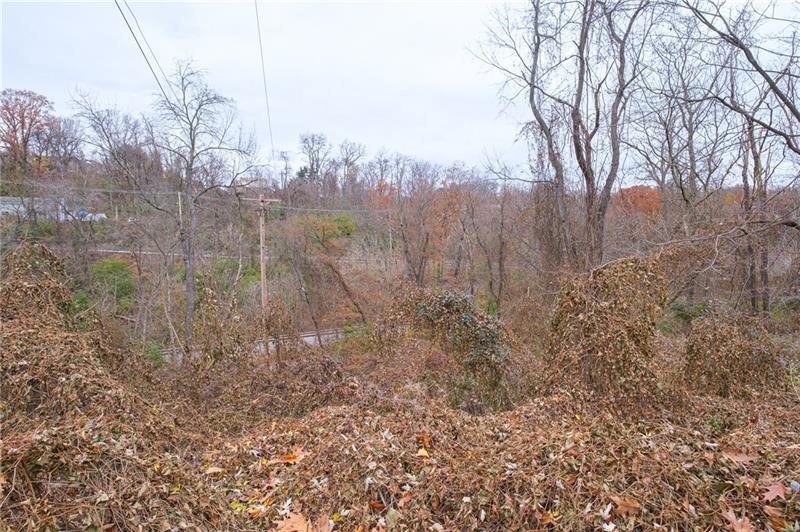 0 Springdale — photo 4