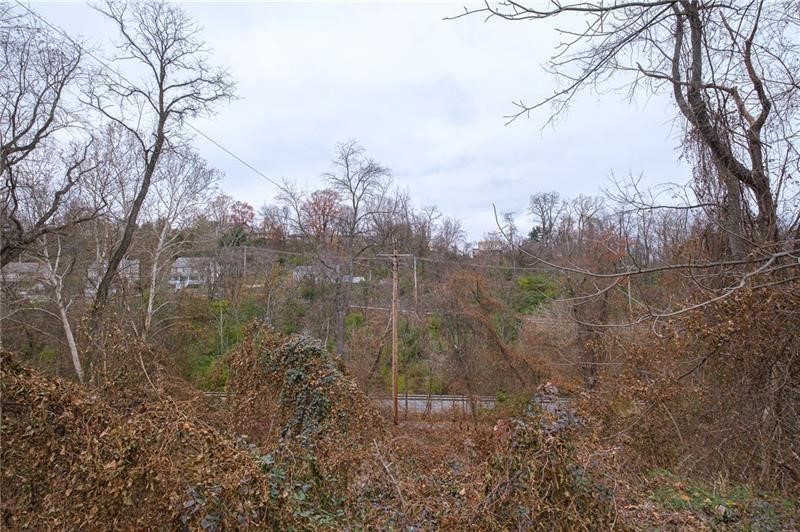 0 Springdale — photo 5