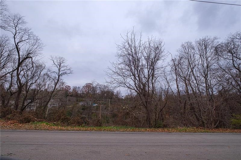 0 Springdale — photo 6