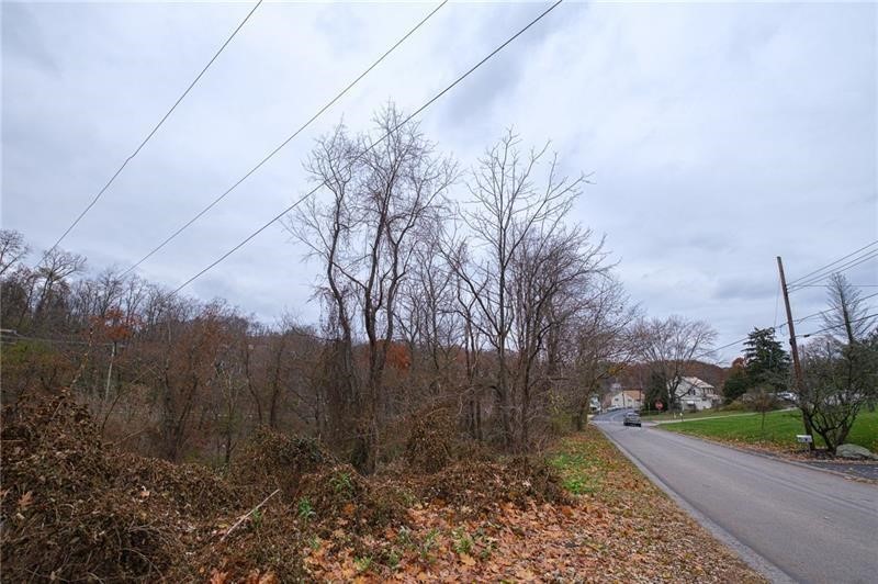 0 Springdale — photo 7