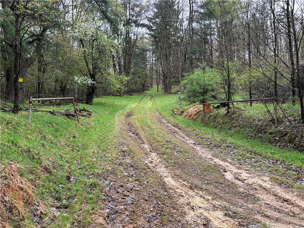 357 Pineville Rd — photo 1
