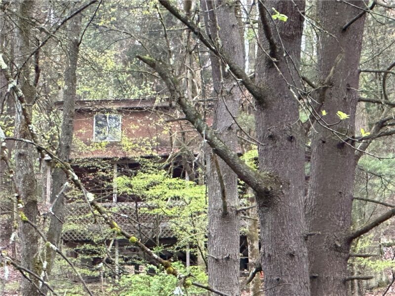 357 Pineville Rd — photo 2