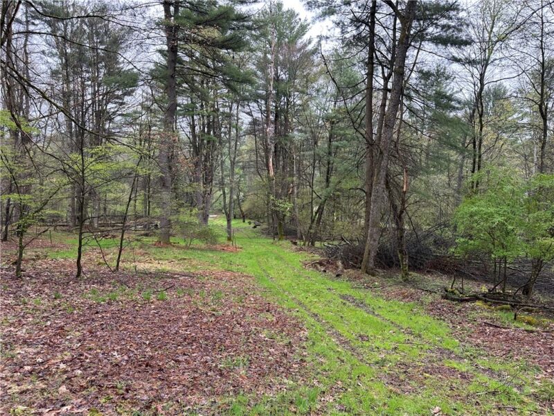 357 Pineville Rd — photo 7