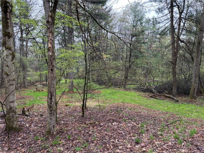 357 Pineville Rd — photo 8