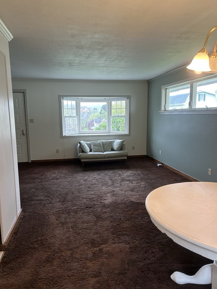 523 Penn Street — photo 8