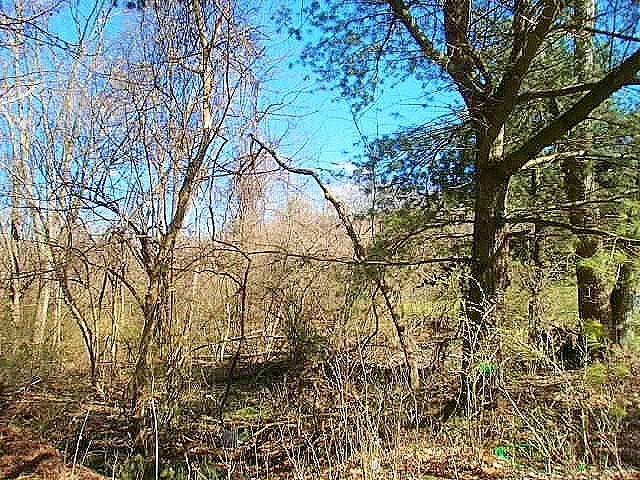 0 JOHNSTON RD EXT. — photo 1