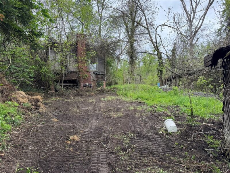 50 Terrace Drive — photo 3