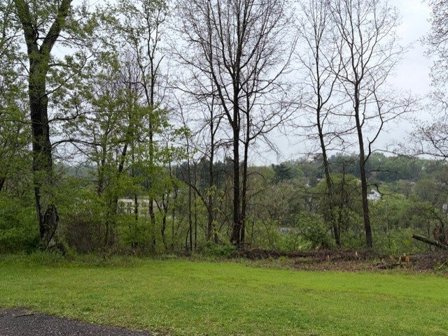 Lot 26 Wabash Street — photo 3