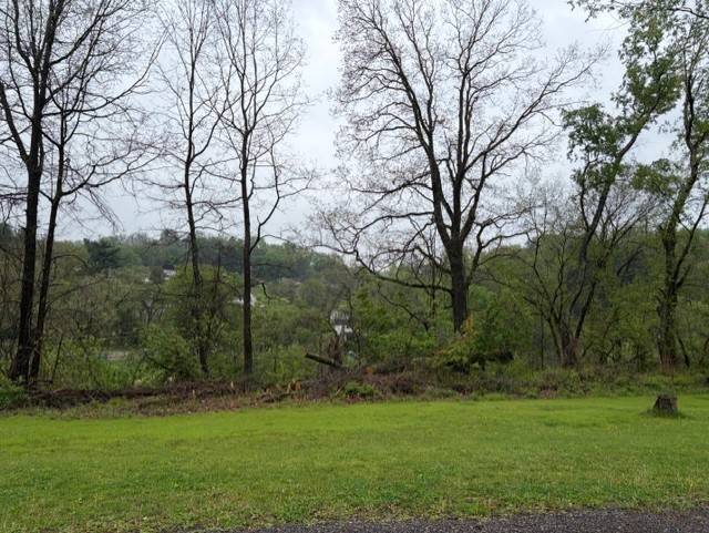 Lot 26 Wabash Street — photo 4