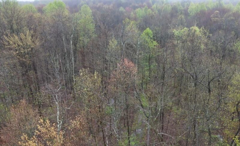 0 Countyline rd — photo 2