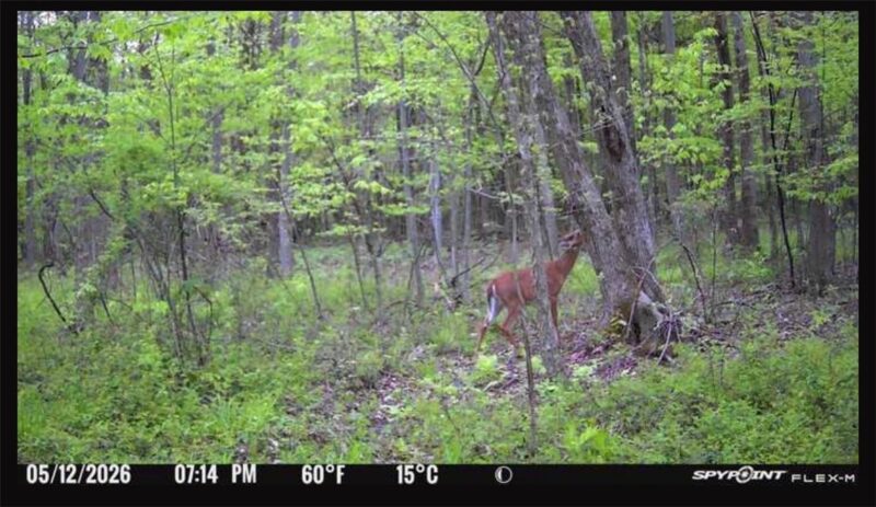 0 Countyline rd — photo 3