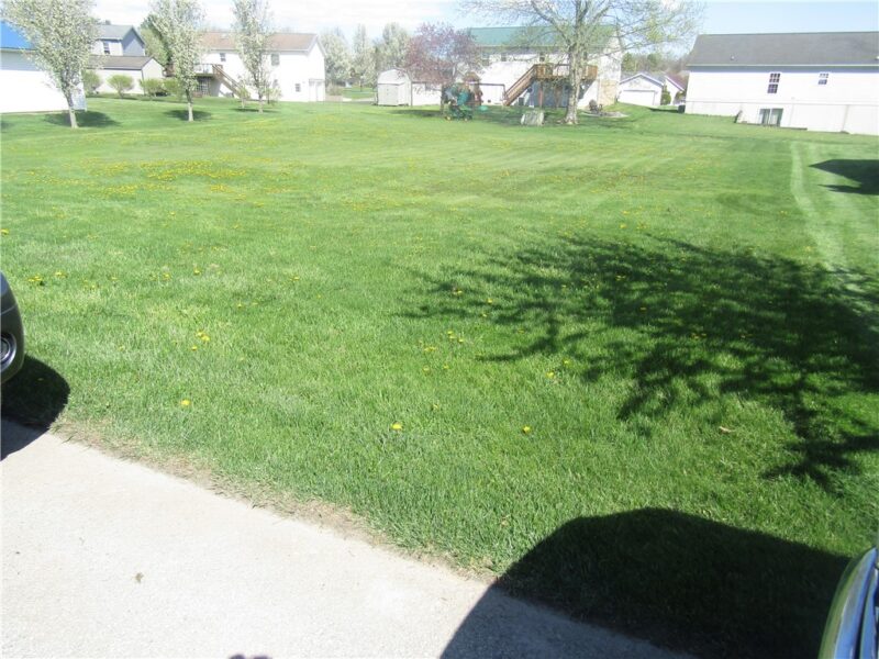 1303 Brierwood Drive — photo 5