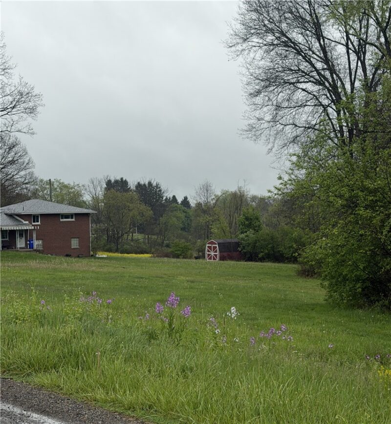 214 South Pike — photo 6