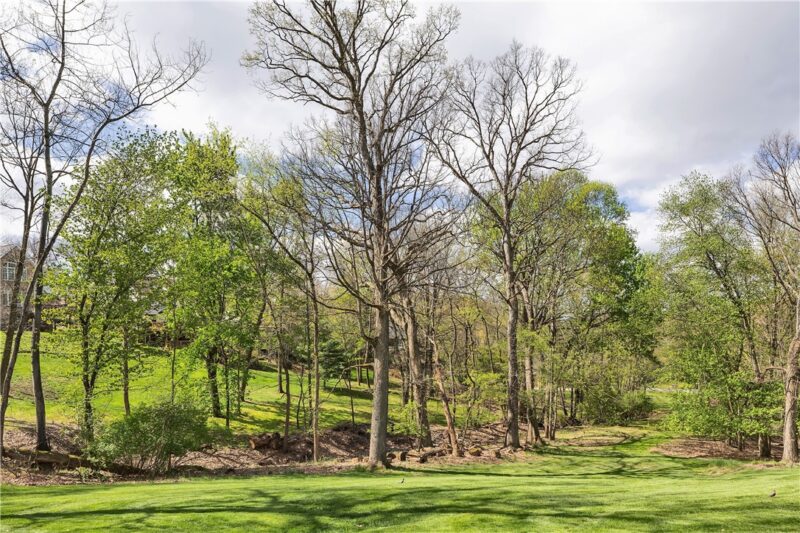 9007 Hampshire Ct — photo 4